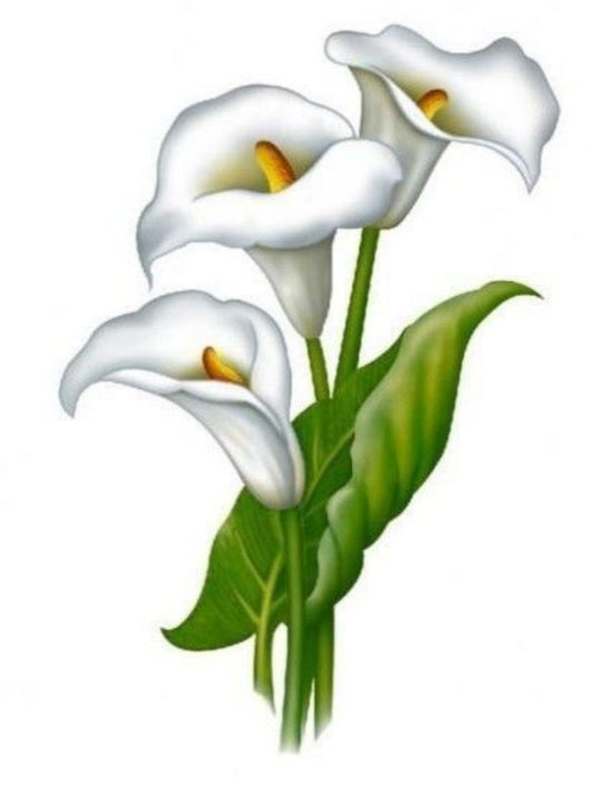Calla Lily | Diamond Painting
