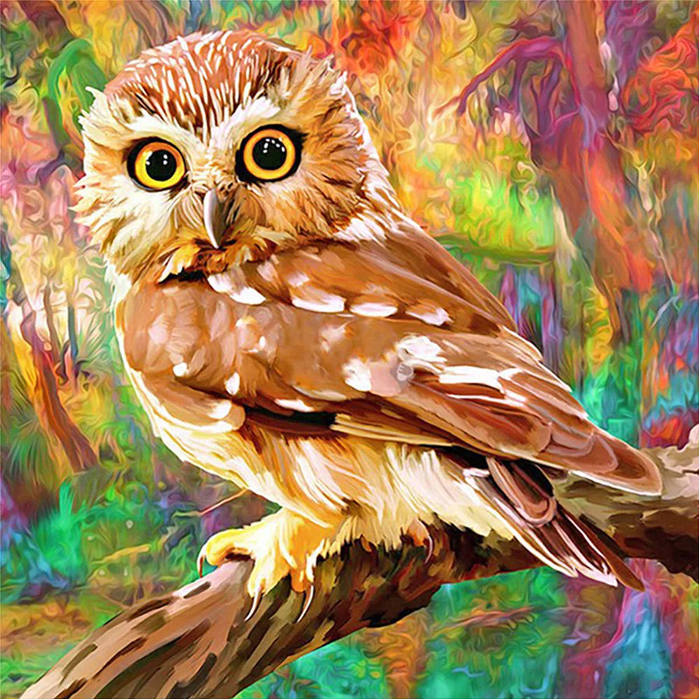 Owl | Diamond Painting