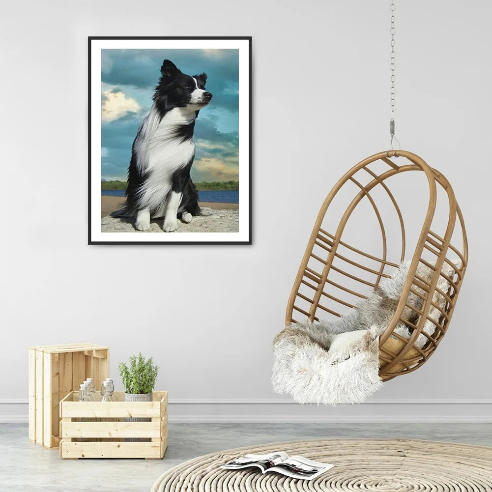 Dog Border Collie | Diamond Painting