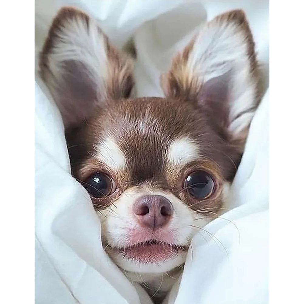 Cute Dog Chihuahua | Cross Stitch Embroidery