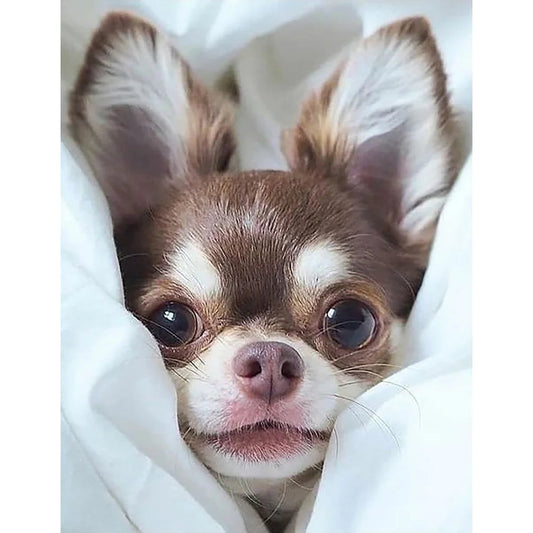 Cute Dog Chihuahua | Cross Stitch Embroidery