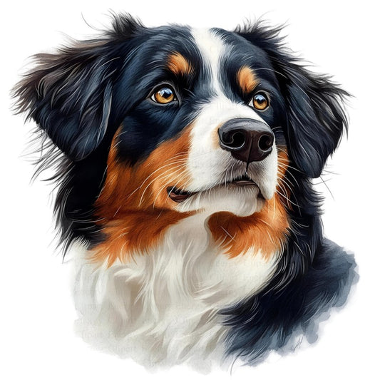 Dog Australian Shepherd | Diamond Painting