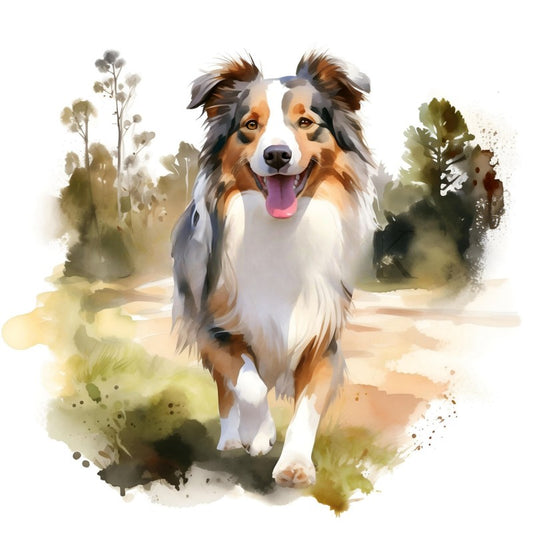 Dog Australian Shepherd | Diamond Painting