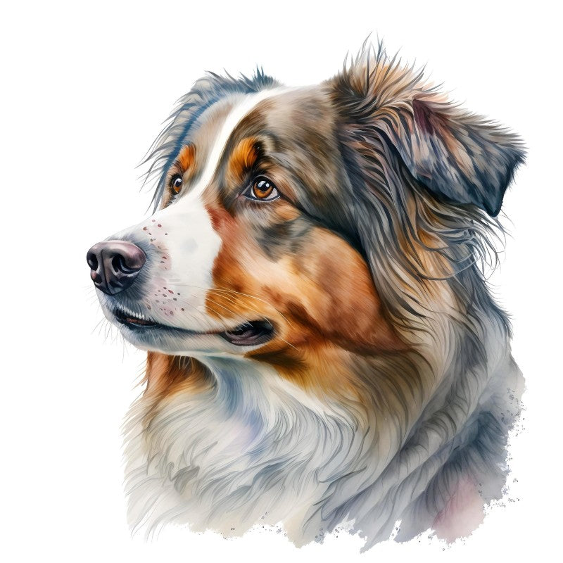 Dog Australian Shepherd | Diamond Painting