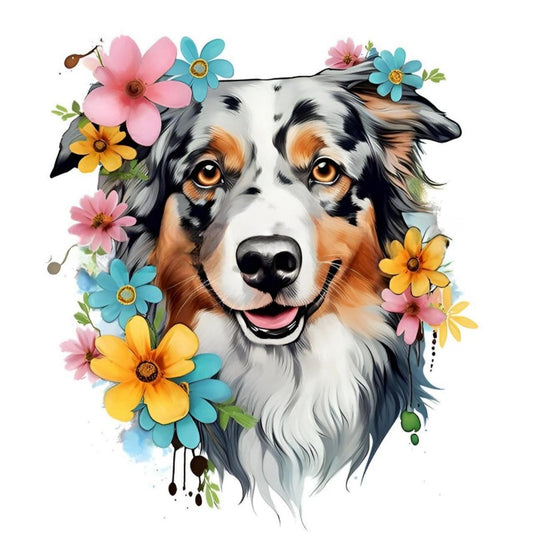 Dog Australian Shepherd | Diamond Painting