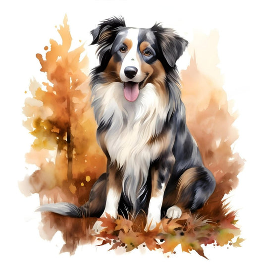 Dog Australian Shepherd | Diamond Painting