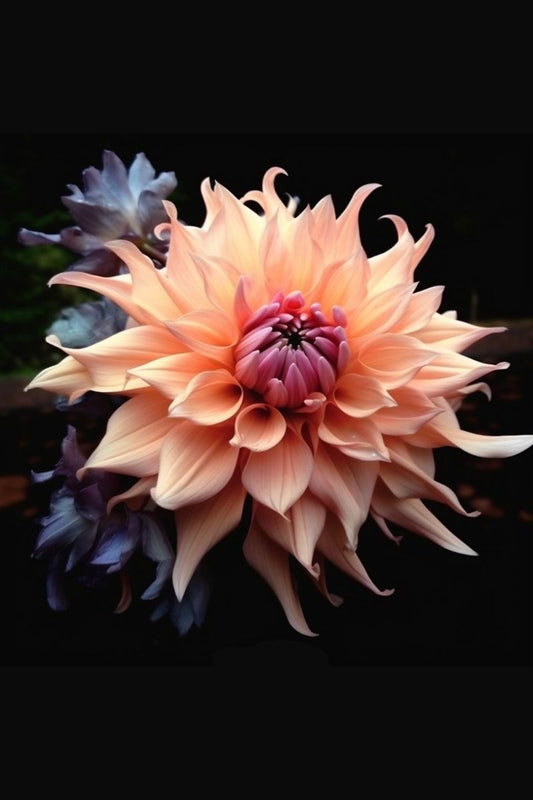 Dahlia | Diamond Painting