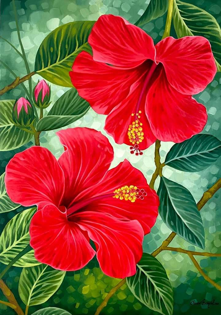 Hibiscus | Diamond Painting