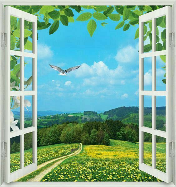 Window Landscape | Diamond Painting