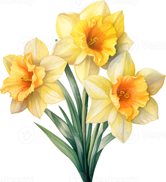 Daffodil | Diamond Painting