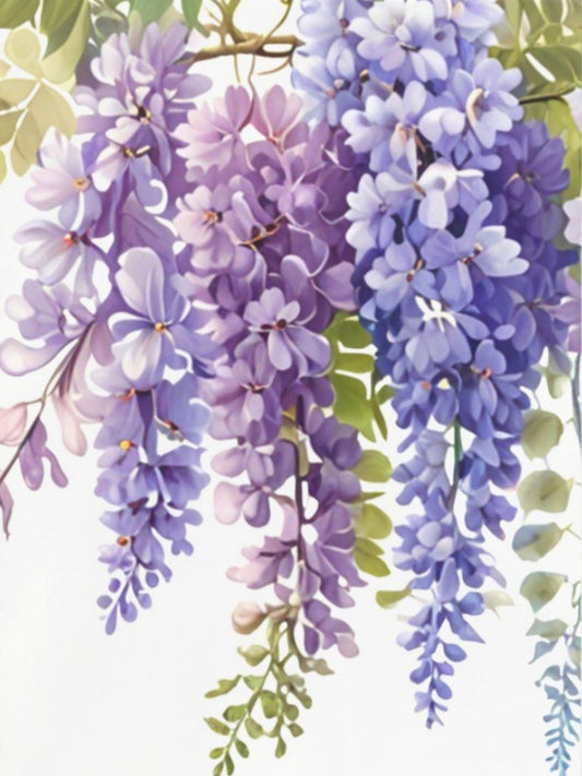 Wisteria | Diamond Painting