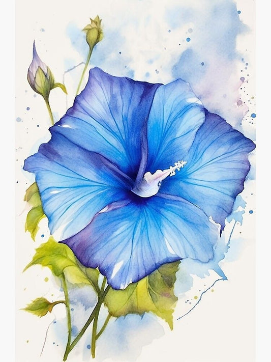 Morning Glory | Diamond Painting