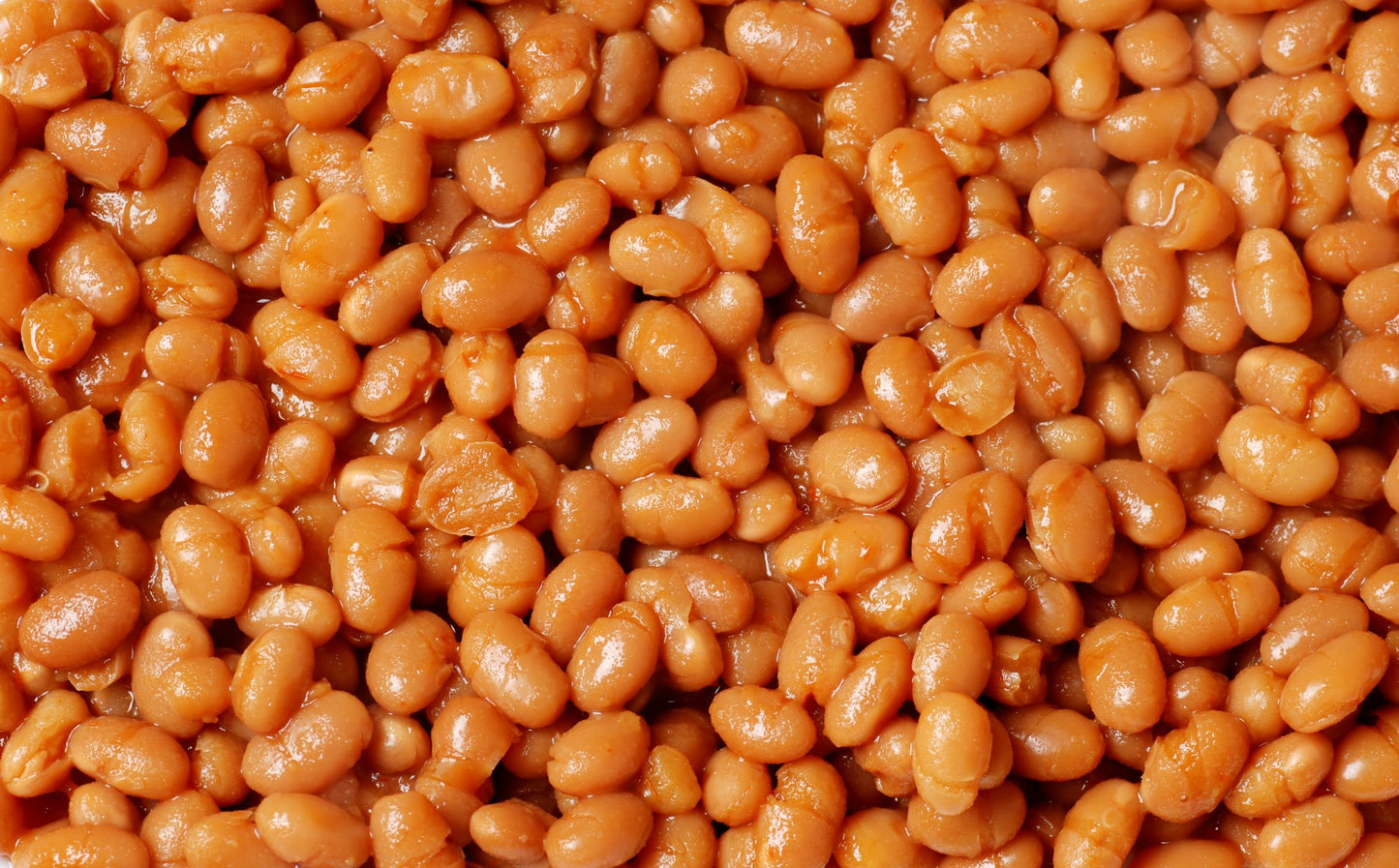 Baked Bean | Diamond Painting