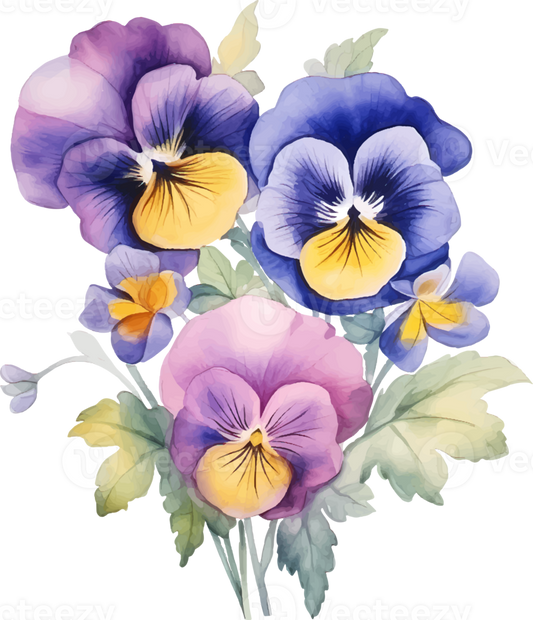 Pansy | Diamond Painting