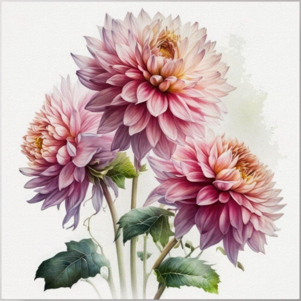 Dahlia | Diamond Painting