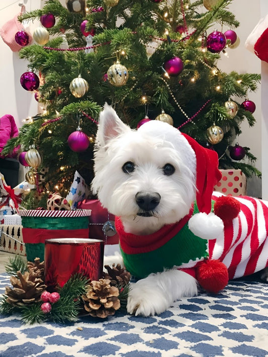 West Highland Terrier Westie Dog | Diamond Painting