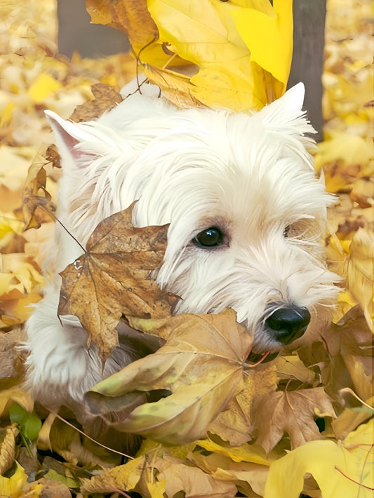 West Highland Terrier Westie Dog | Diamond Painting