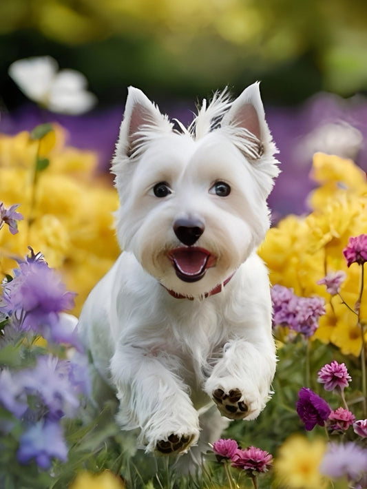 West Highland Terrier Westie Dog | Diamond Painting