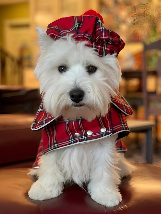 West Highland Terrier Westie Dog | Diamond Painting
