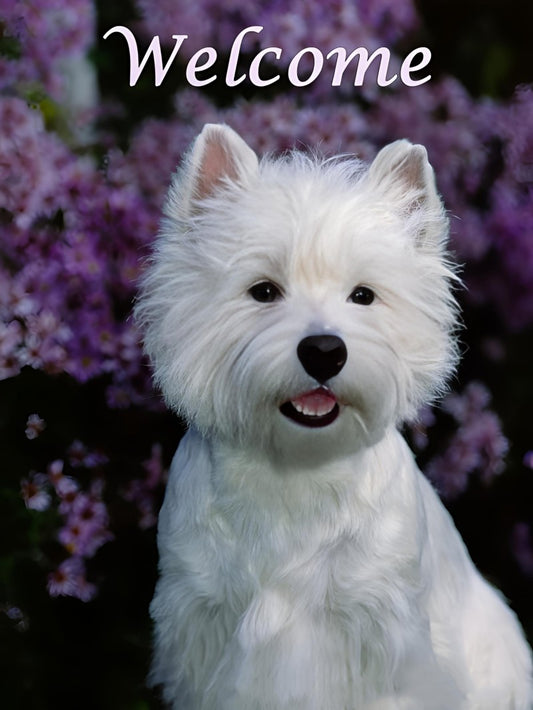 West Highland Terrier Westie Dog | Diamond Painting