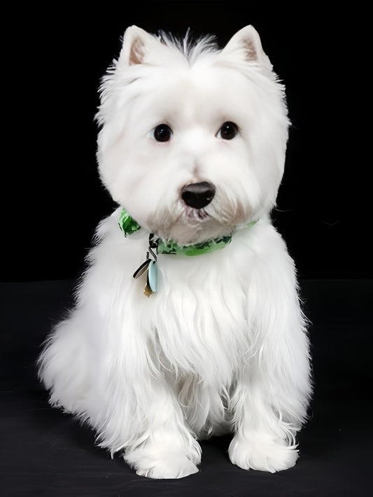 West Highland Terrier Westie Dog | Diamond Painting