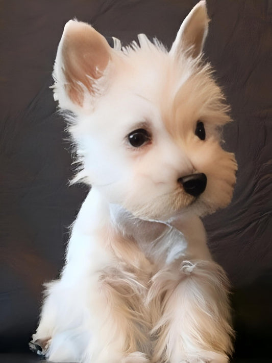 West Highland Terrier Westie Dog | Diamond Painting