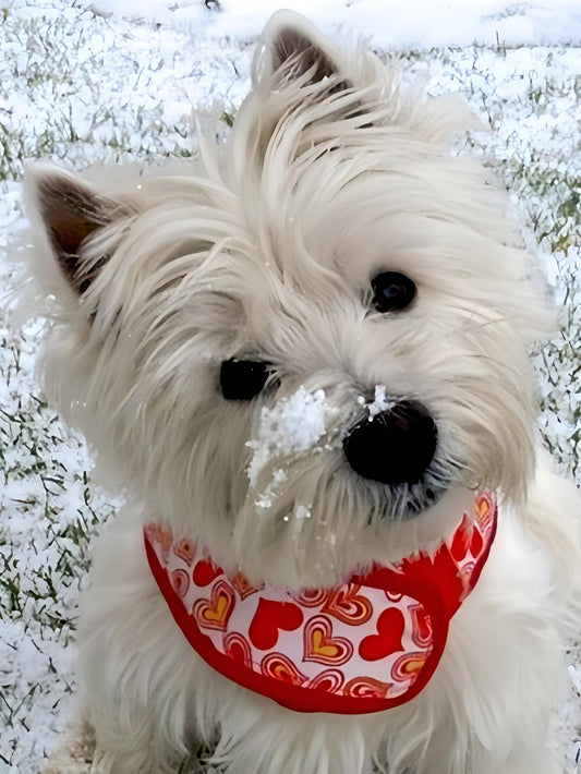 West Highland Terrier Westie Dog | Diamond Painting