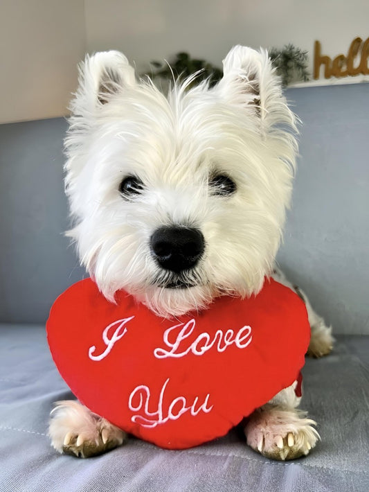 West Highland Terrier Westie Dog | Diamond Painting