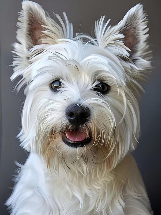 West Highland Terrier Westie Dog | Diamond Painting