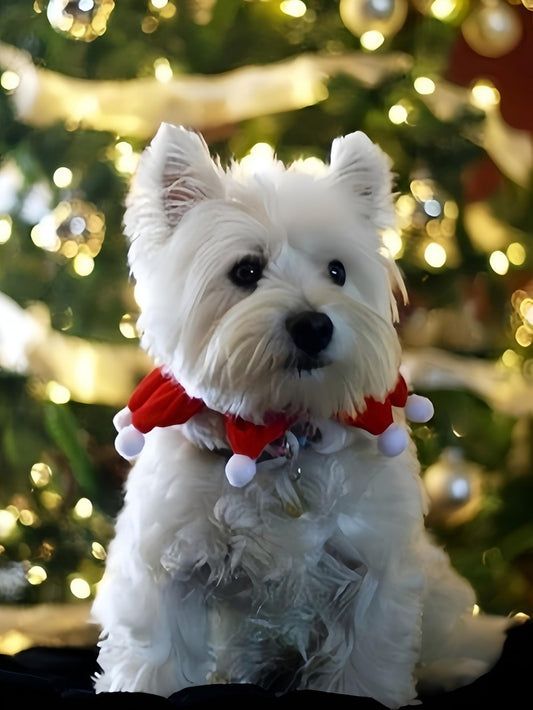 West Highland Terrier Westie Dog | Diamond Painting