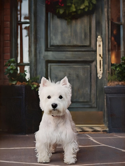 West Highland Terrier Westie Dog | Diamond Painting