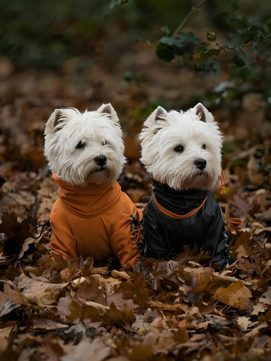 West Highland Terrier Westie Dog | Diamond Painting