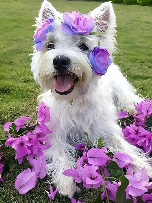 West Highland Terrier Westie Dog | Diamond Painting