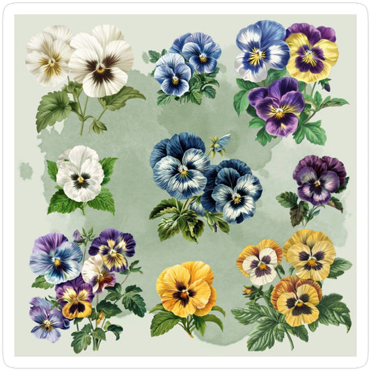 Pansy | Diamond Painting