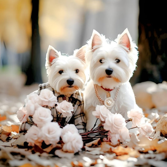 West Highland Terrier Westie Dog | Diamond Painting