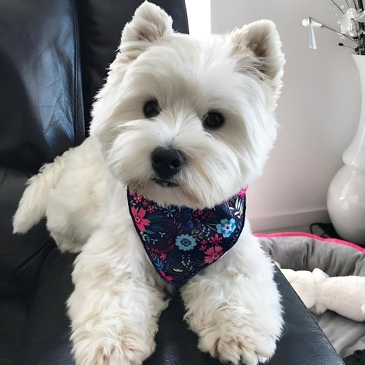 West Highland Terrier Westie Dog | Diamond Painting