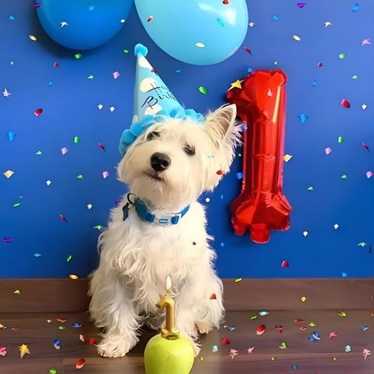 West Highland Terrier Westie Dog | Diamond Painting