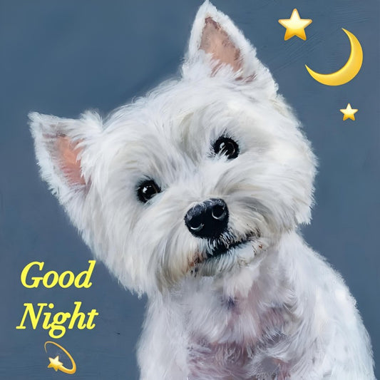 West Highland Terrier Westie Dog | Diamond Painting