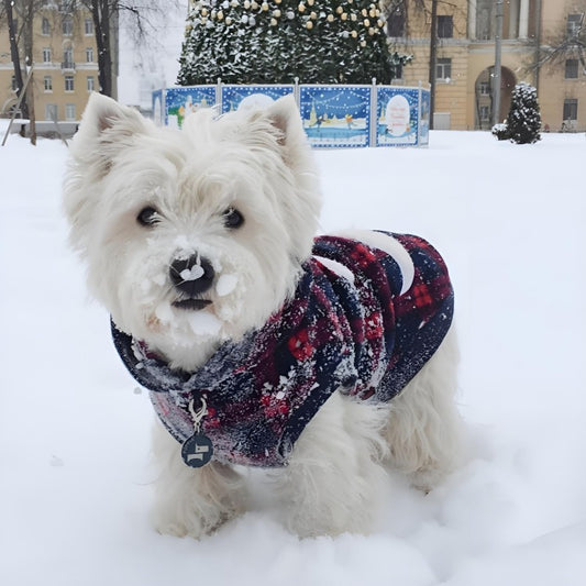 West Highland Terrier Westie Dog | Diamond Painting