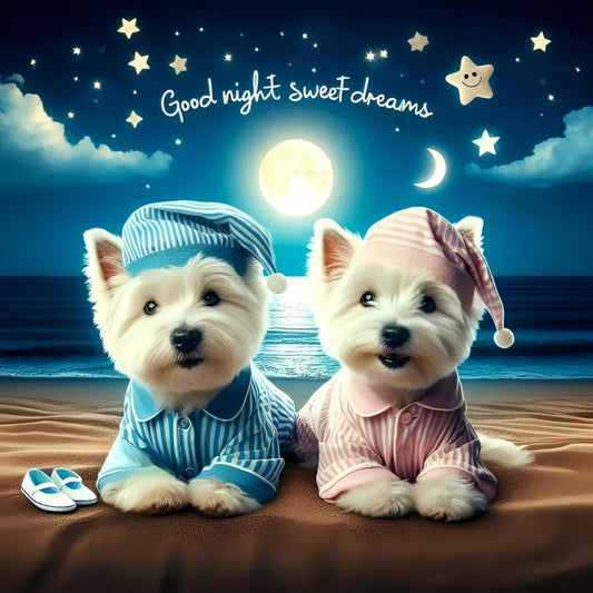 West Highland Terrier Westie Dog | Diamond Painting
