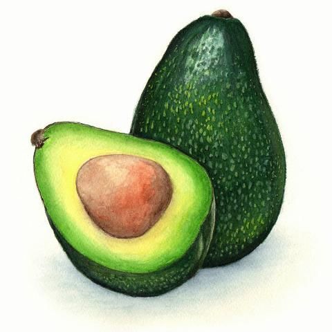 Avocado | Diamond Painting