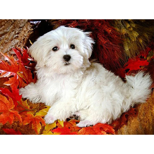 Cute Dog Shih Tzu | Cross Stitch Embroidery