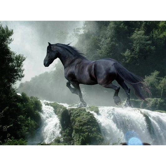 Black Horse | Diamond Painting