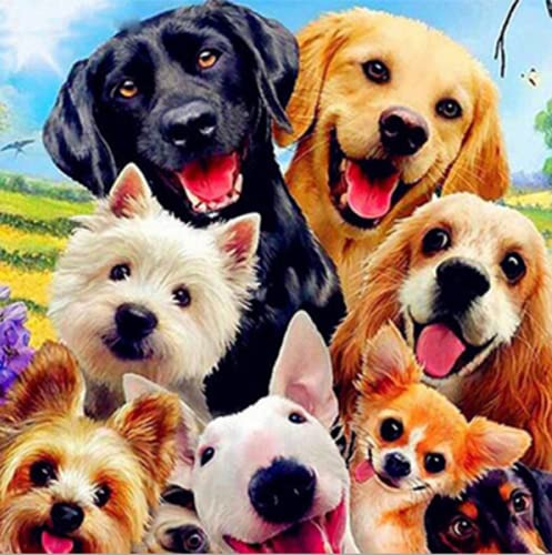 Dog | Cross Stitch Embroidery