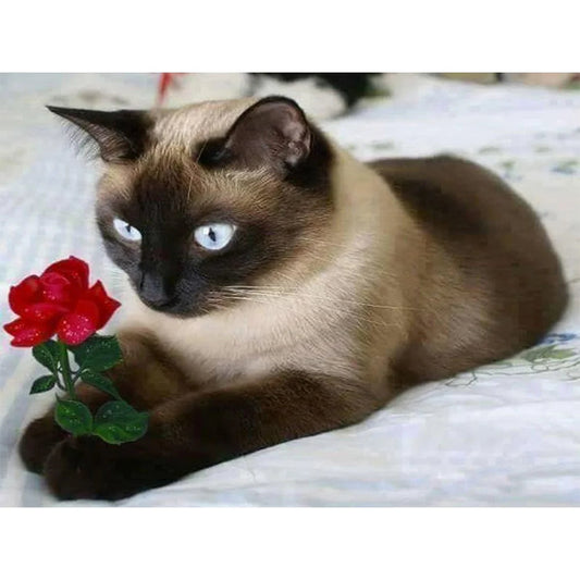 Siamese Cat | Cross Stitch Embroidery