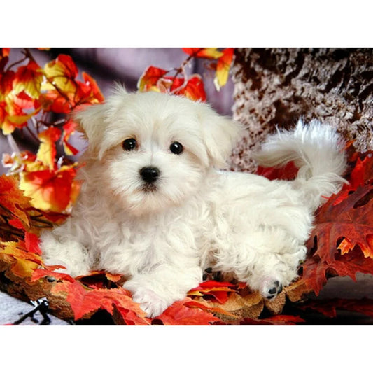 Red Leaves Dog Shih Tzu | Diamond Painting