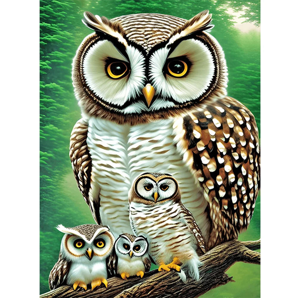 Owl | Diamond Painting