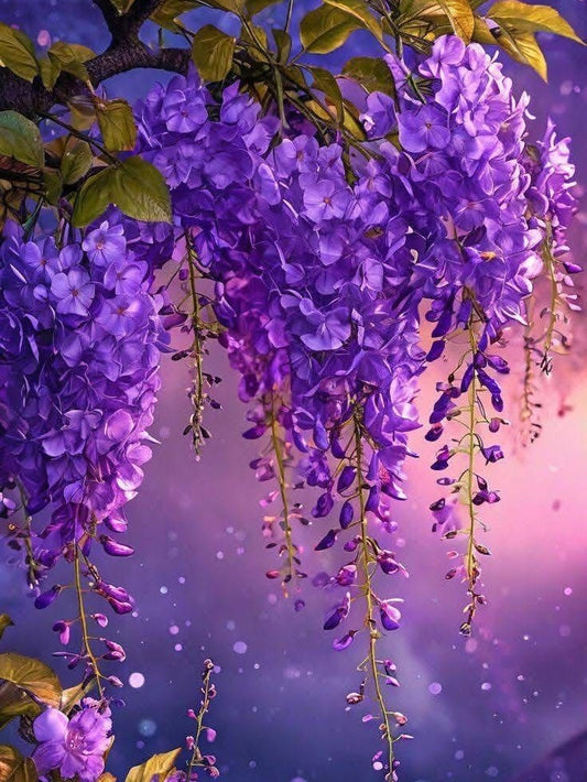 Wisteria | Diamond Painting