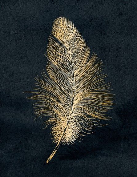 Feather | Diamond Painting