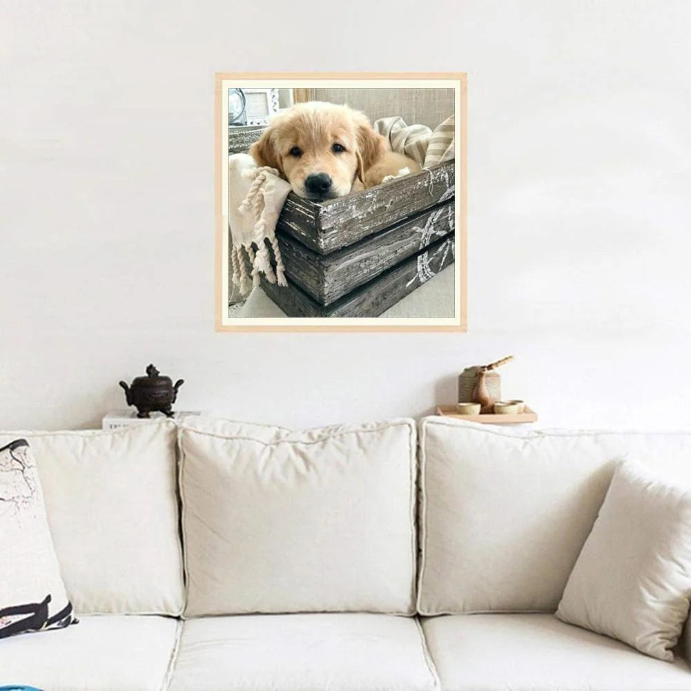 Box Dog Golden Retriever | Diamond Painting